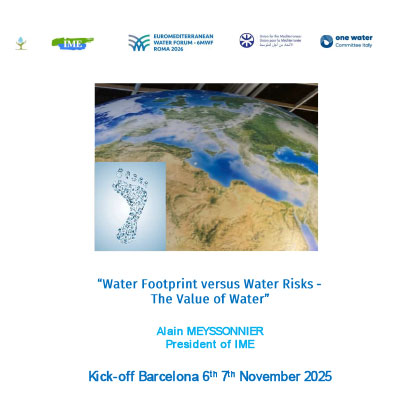 Water Footprint versus Water Risks – The Value of Water