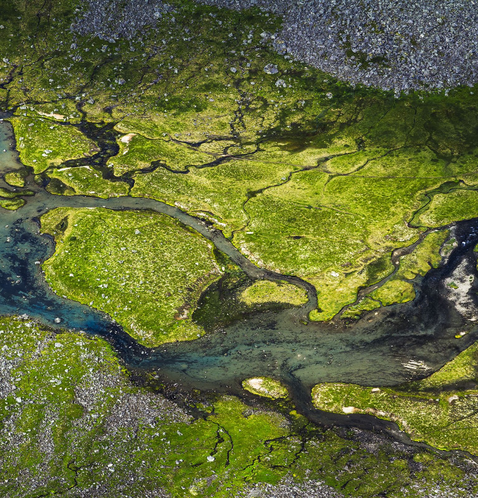 Water and Biodiversity: One Future for the Mediterranean