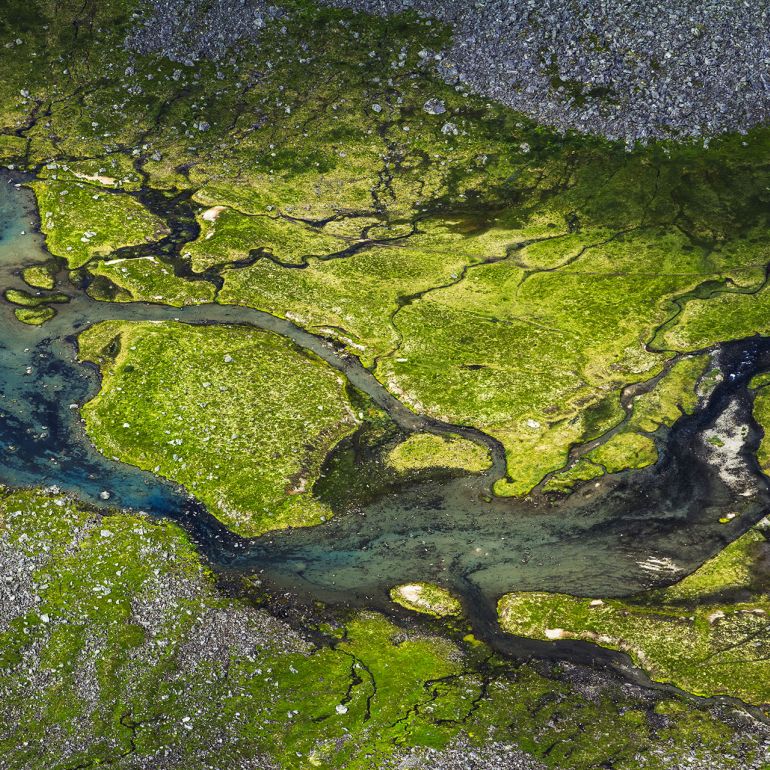 Water and Biodiversity: One Future for the Mediterranean