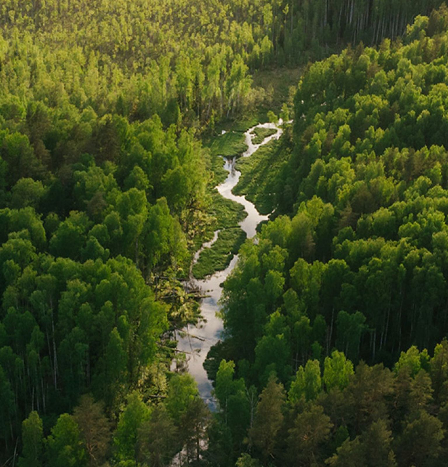 Euro-Mediterranean Water Forum