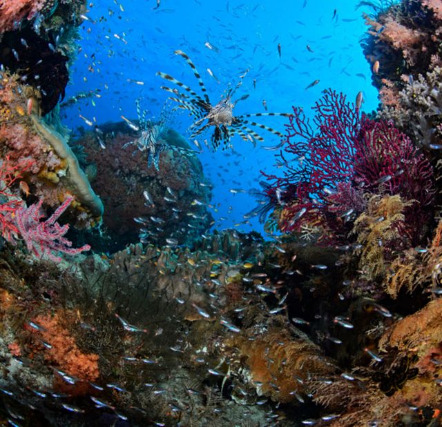 Water and Biodiversity: One Future for the Mediterranean