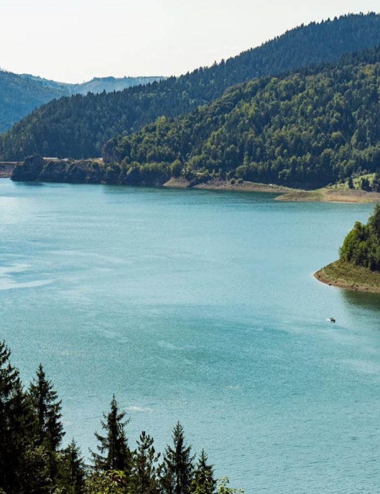 Water and Health: A Forum on Italy’s International Role at the ISS